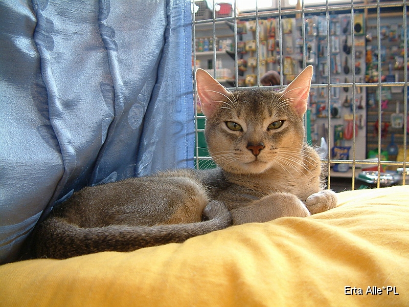 DSCF3674.JPG