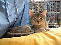 DSCF3674