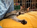 DSCF3682