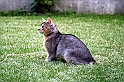 IMG_5054