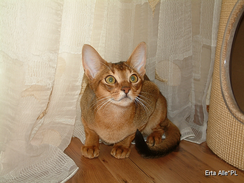 DSCF7255.JPG