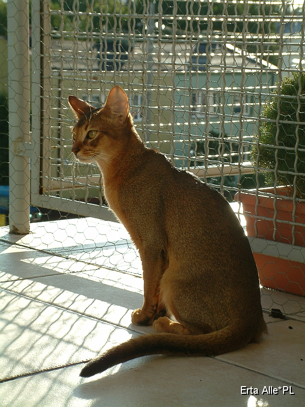 DSCF7276.JPG