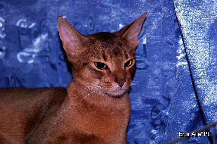 DSC_3661.JPG