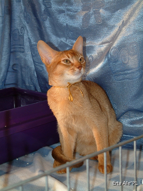 DSCF3684.JPG