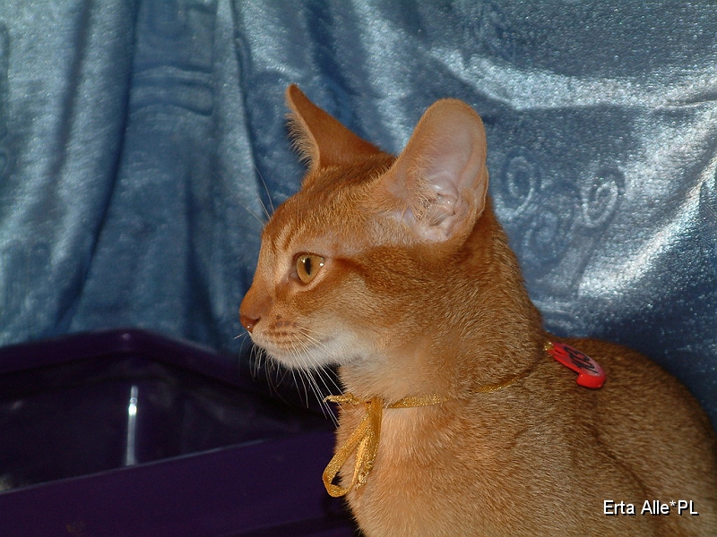 DSCF3687.JPG