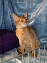 DSCF3684