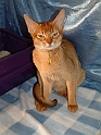 DSCF3685