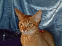 DSCF3686