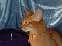 DSCF3687