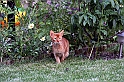 IMG_5053