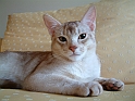 Aton9