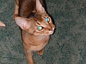 DSCN3627