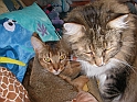 DSCN3634