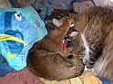 DSCN3641