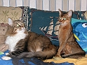 DSCN3644