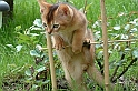 DSCF6223_resize