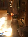 DSCN3895