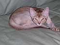 DSCN4472_2