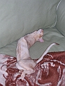 DSCN4474_2