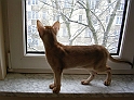 DSCN4475_2