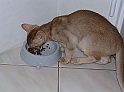 DSCN4476_2