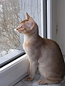 DSCN4478_2