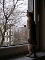 DSCN4479_2