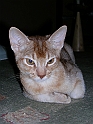 DSCN4488_2